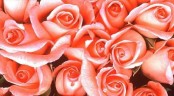 Valentýnka s růžičkami