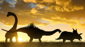 Přání k narozeninám pro děti - dinosauři